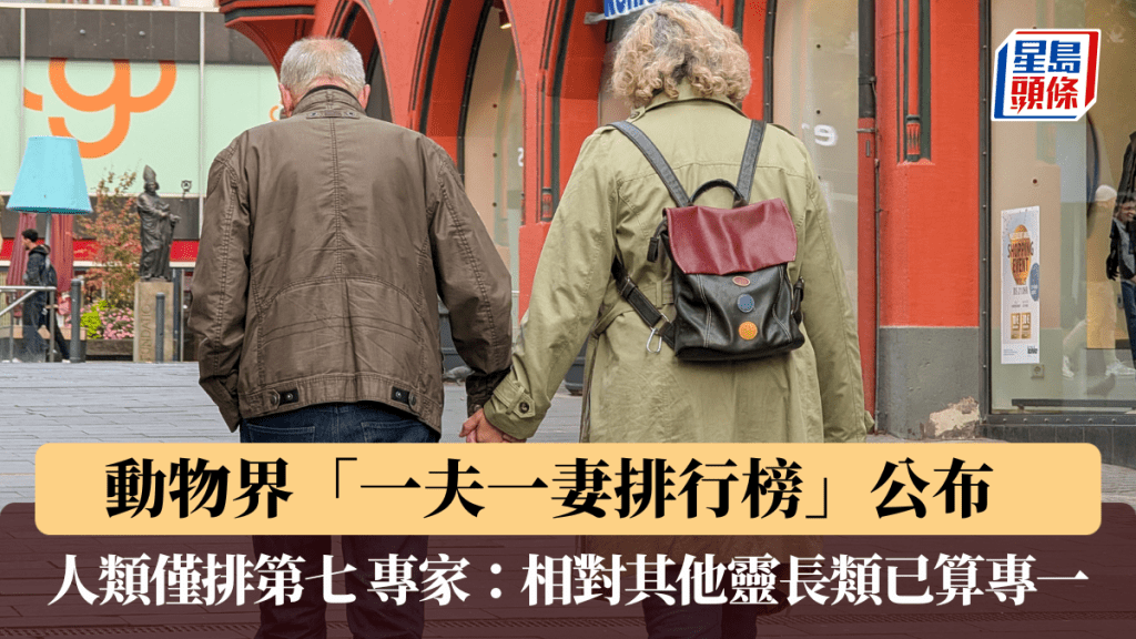 動物界「一夫一妻排行榜」公布 人類僅排第七 專家：相對其他靈長類已算專一。法新社資料圖片