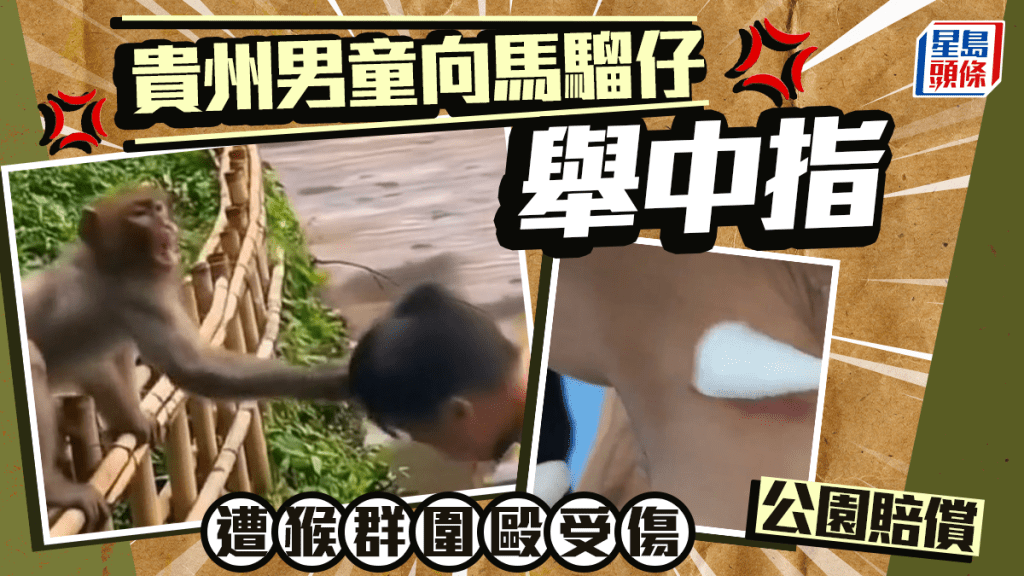 貴州7歲童舉中指遭馬騮圍毆   公園賠償這東西