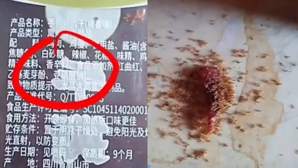 海南童掉落肉乾碎，螞蟻群啃食暴斃。 