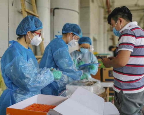 烏魯木齊市疾控中心對海鮮市場外環境進行採樣。新華社