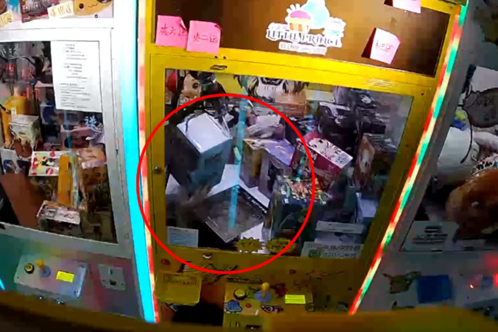 影片清晰看到当灰衣少年似爬入夹公仔机时，一只手伸进夹公仔机内，并取走一盒玩具。