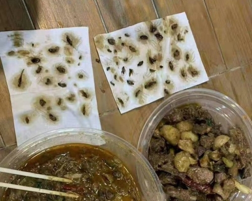 外卖鸭煲总共挑出约40只曱甴。网图