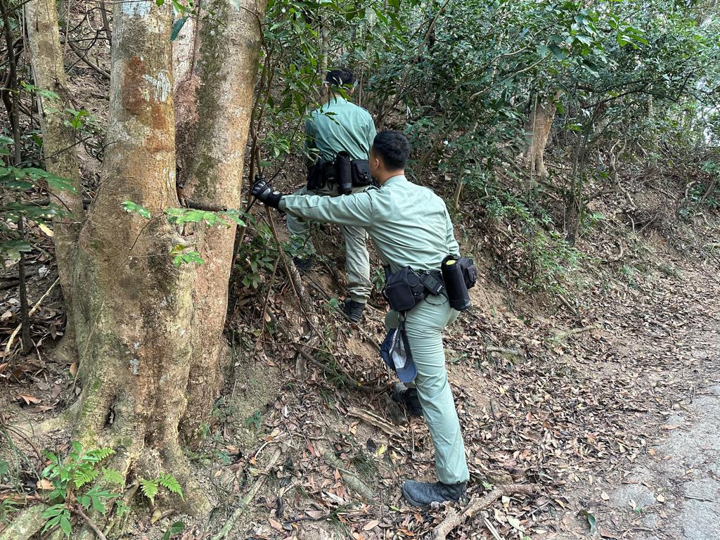 西區警區留意到有人會藉著市民在新年長假期外遊期間進行爆竊，今日聯同香港仔分區、赤柱分區、西區分區、港島總區機動部隊、野外巡邏隊、衝鋒隊無人機小隊及政府飛行服務隊人員在區內展開跨部門反爆竊行動。警方提供