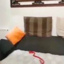 女子以為紅色長蛇出現在大廳梳化上。網圖