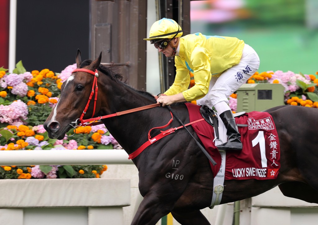 潘頓已夥拍「金鑽貴人」贏得九場頭馬。 潘頓已夥拍「金鑽貴人」贏得九場頭馬。