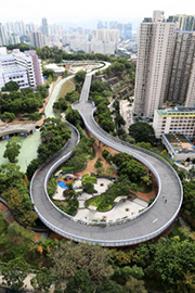 蒲崗村道公園有適合初學者使用的單車園地(圖片來源:康文署) 蒲崗村道公園有適合初學者使用的單車園地(圖片來源:康文署)