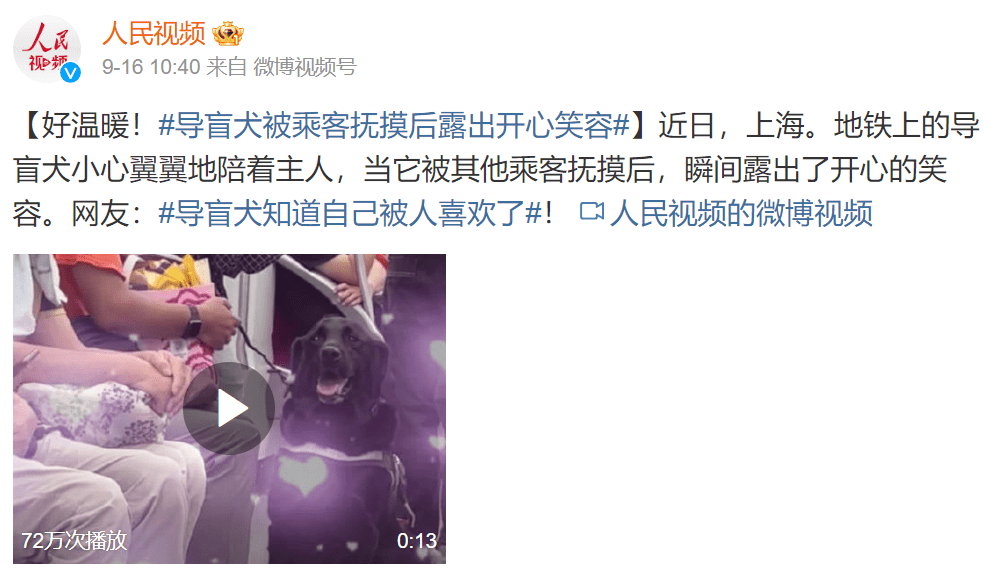 微博帳號「人民視頻」16日發布影片，並在貼文中寫下「好溫暖！導盲犬被乘客撫摸後露出開心笑容」。