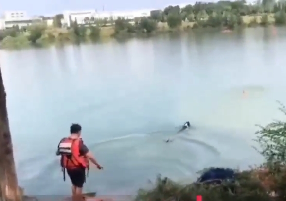 搜救犬「黑崽」曾參與多次救援任務。