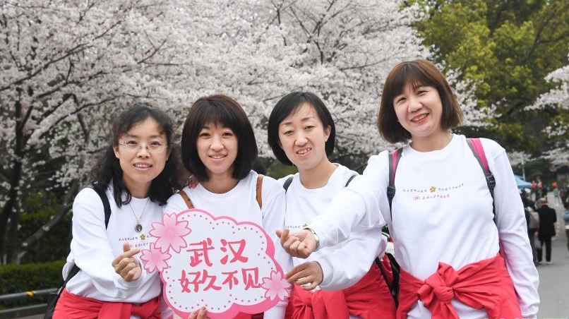 医护人到到武汉大学看樱花。
