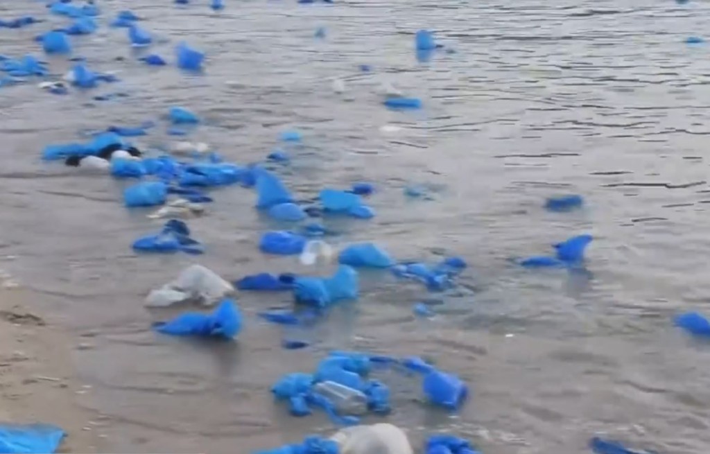 游客观看“蓝眼泪”后遗下大量胶鞋套垃圾。