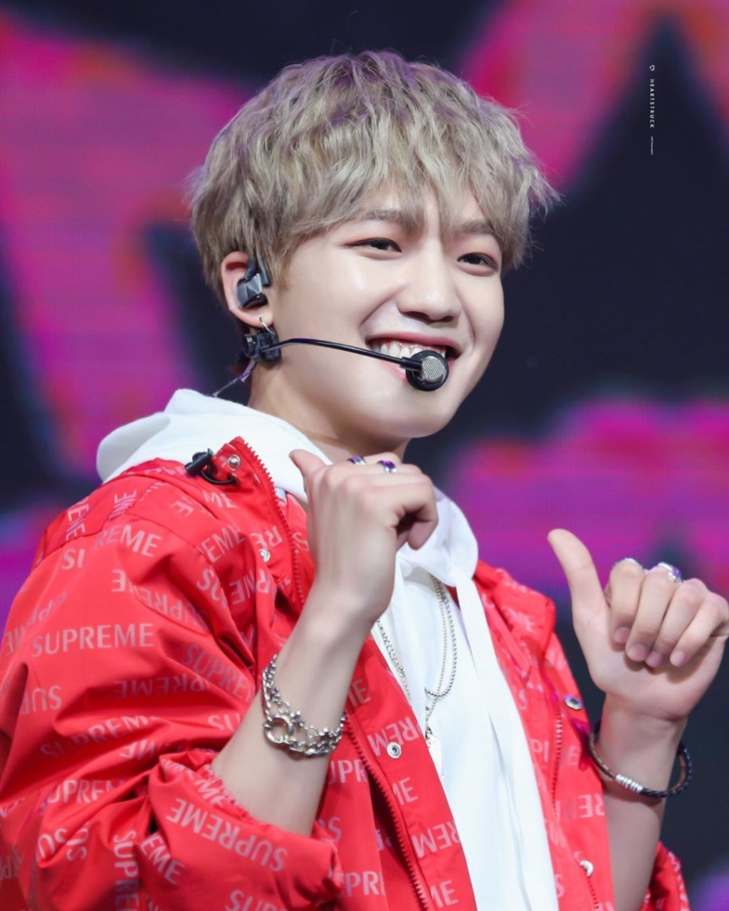 林煐岷谓会承担全部的责任。