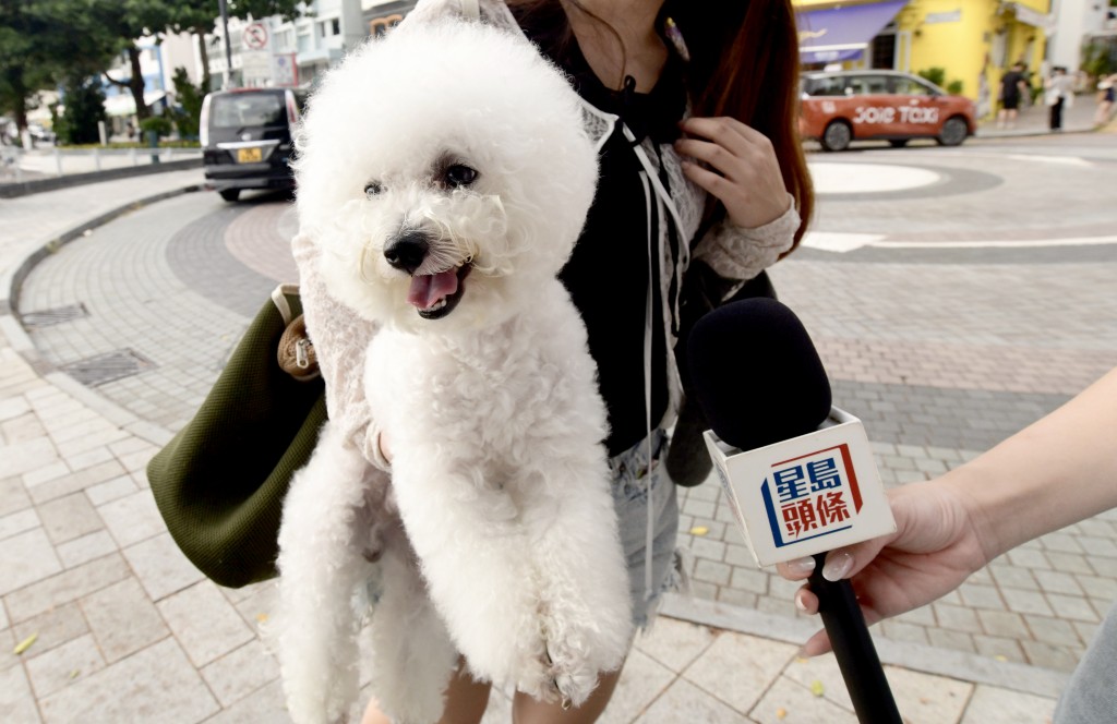 本地市民徐小姐及她的愛犬。
