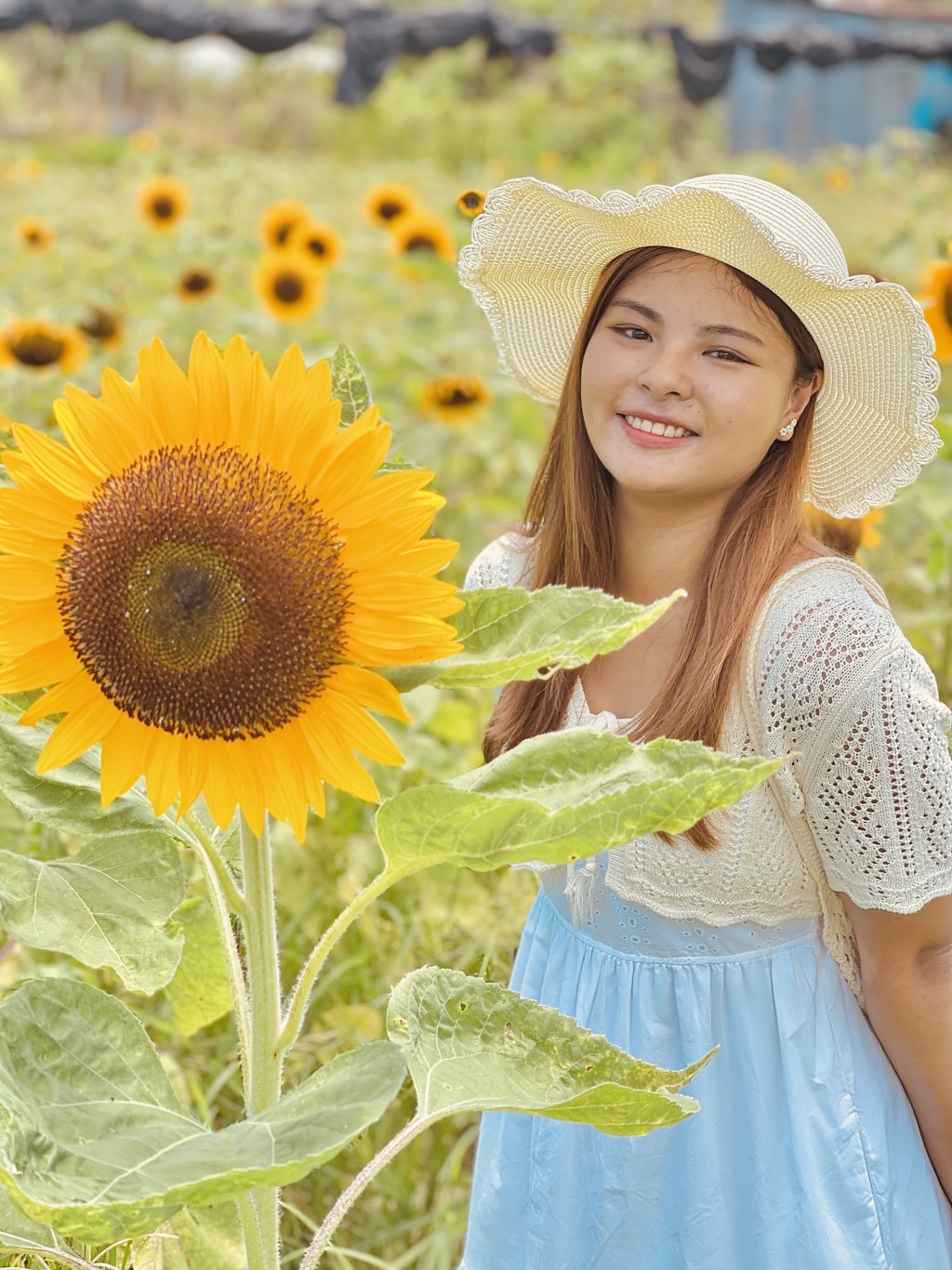 太陽花花海打卡攻略3.人像模式+分割線