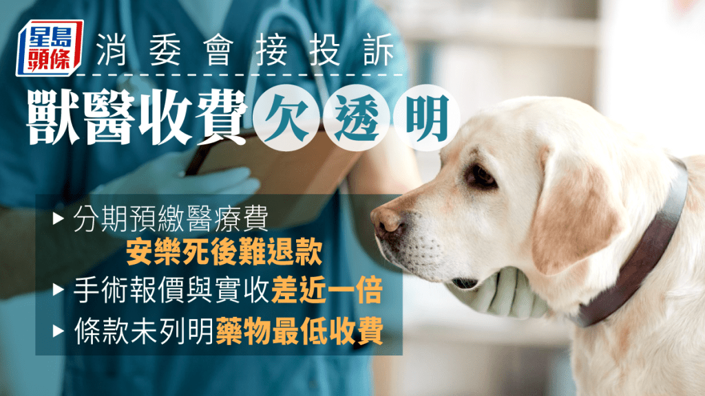 消委會接獲涉及獸醫診所的投訴。iStock圖片