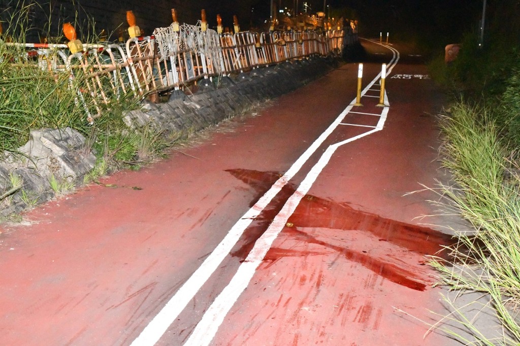 大埔汀角路單車意外男死者為大律師鍾建康。資料圖片