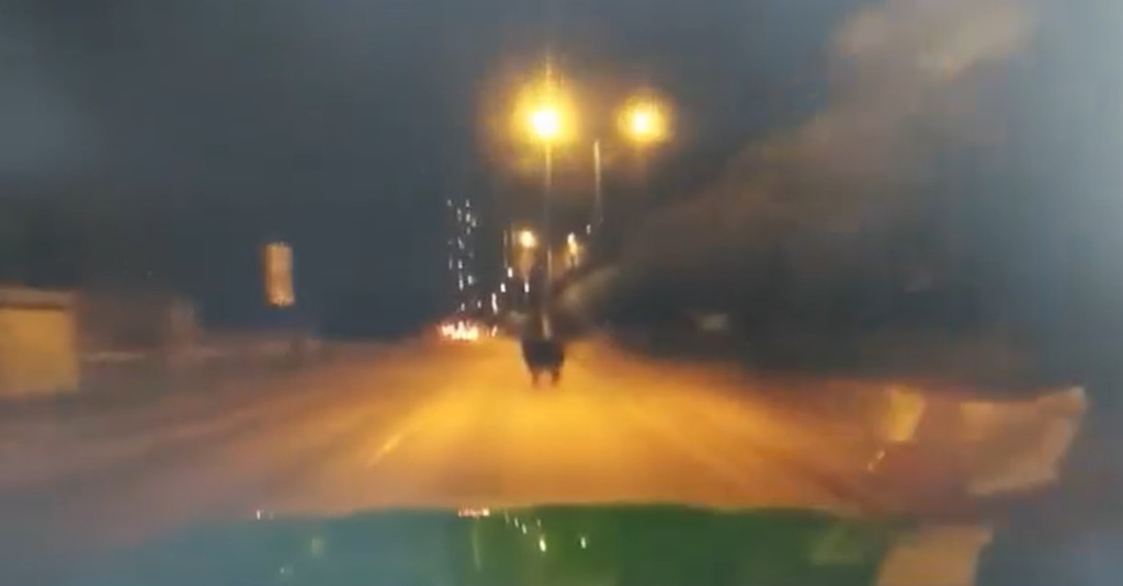 一輛郊區的士沿沙頭角公路快線行駛，衝着路上公牛而來。（影片截圖）