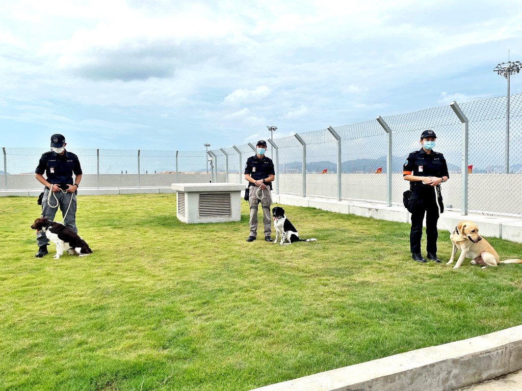 機場保安犬一日兩次到天台散放場散步。王詩穎攝