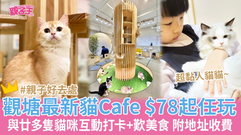 觀塘貓Cafe喵家空間有廿多隻貓貓，全都親人不怕生，溫柔得不用擔心會嚇到小朋友。（圖片來源：喵家空間）