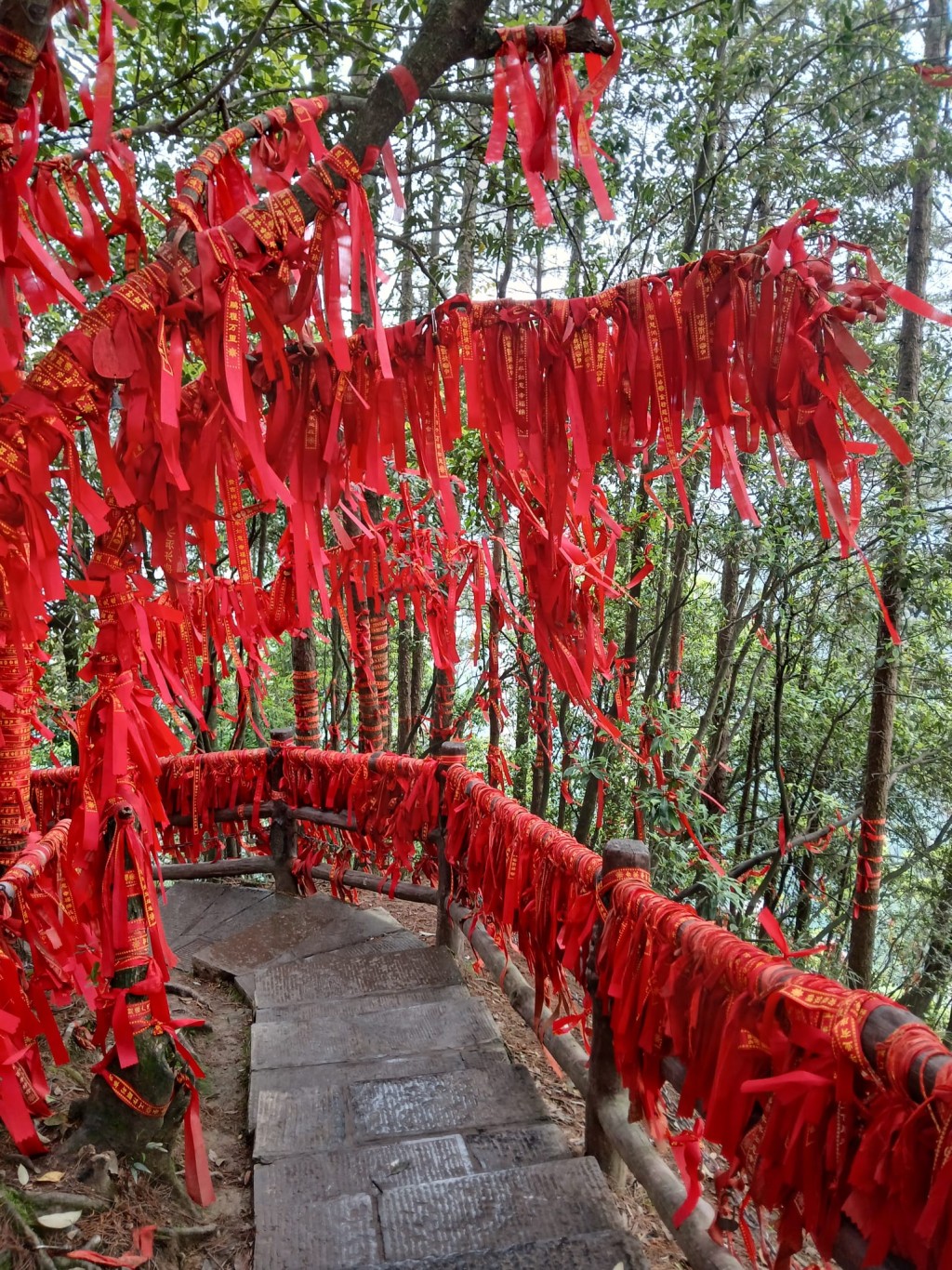 系满红丝带的张家界天然石桥「天下第一桥」是袁家界的另一景点。