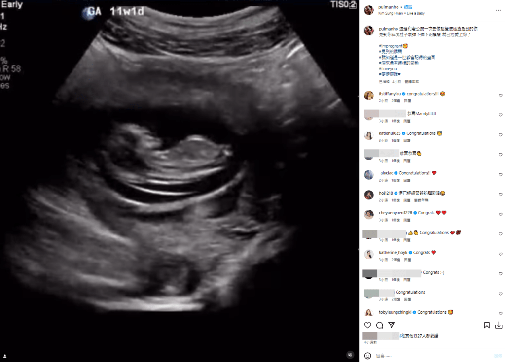 何佩珉去年9月于社交网开心宣布怀孕消息。