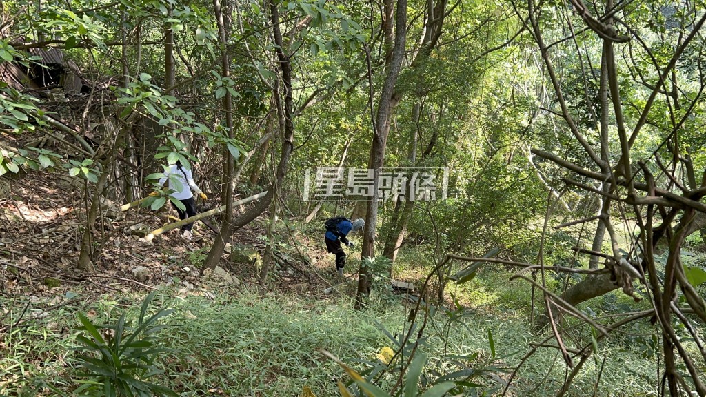 搜索隊兵分兩路，到寶福山一帶山頭及萬佛寺附近搜索。