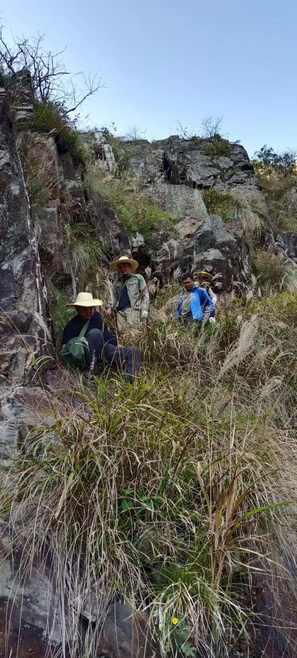 湖南發現大型鋰礦,礦石藏量達4.9億噸。湖南日報 湖南發現大型鋰礦,礦石藏量達4.9億噸。湖南日報