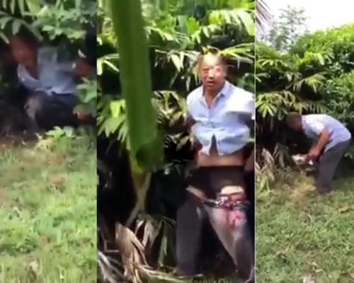 最近一名中國大叔在西非國家迦納的一個公園內大便,當地民眾發現後,要求他用鏟子將他的糞便收拾乾淨。(網圖)