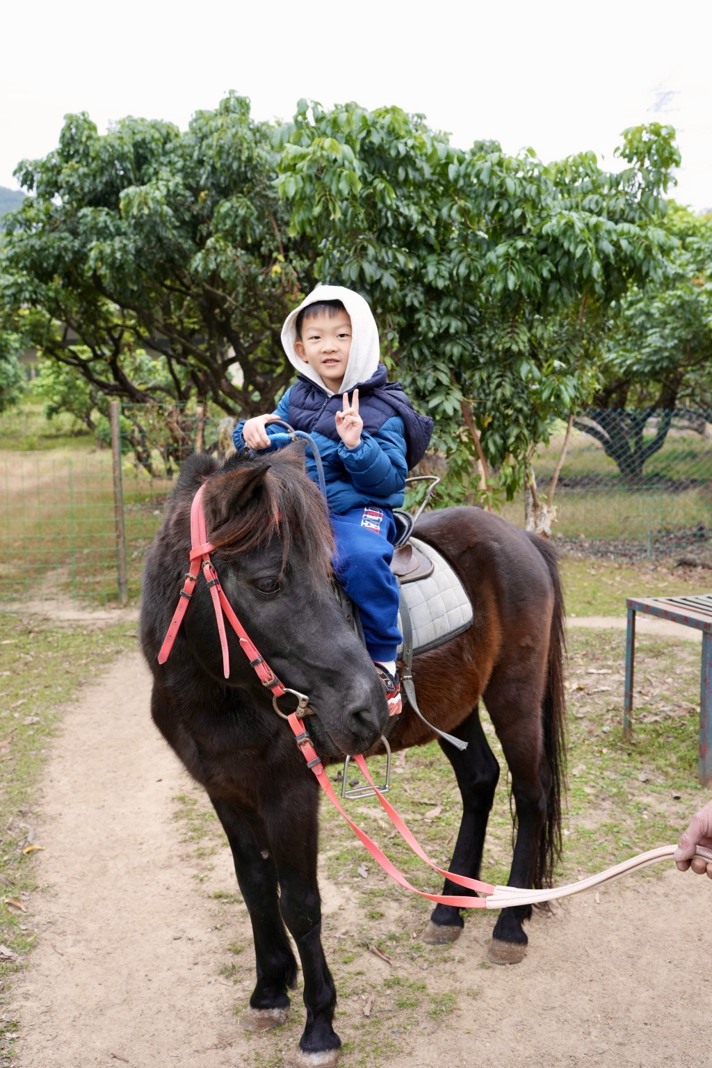 「阿莎姨蘑菇農場」結合自然教育、親子互動、 農業體驗，小孩可在職員牽引下騎乘小馬。（圖片來源：《親子王》）