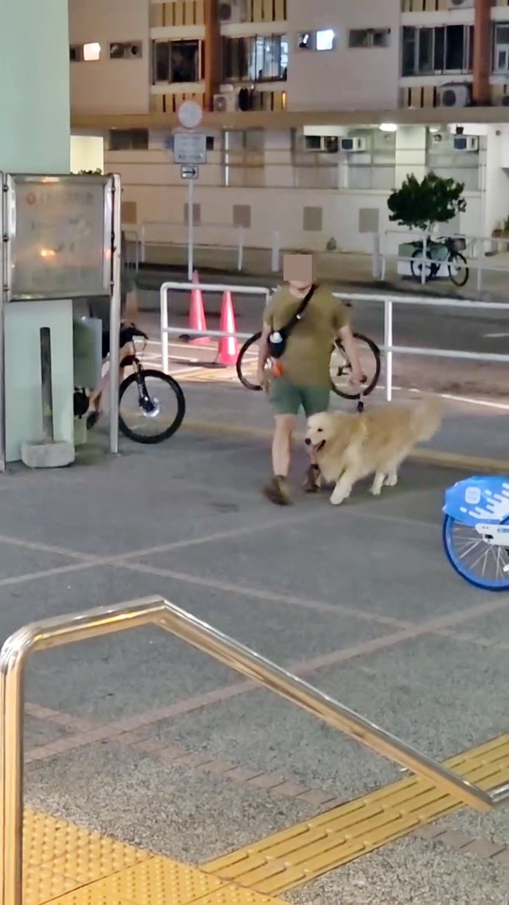 facebook截圖(資料來源:輝輝廖@facebook齊齊贏馬會 馬會出糧) facebook截圖(資料來源:輝輝廖@facebook齊齊贏馬會 馬會出糧)