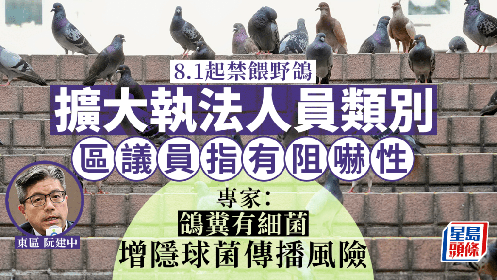 8.1起禁餵野鴿︱區議員指修例有阻嚇性 專家稱可減低鳥類傳染病風險