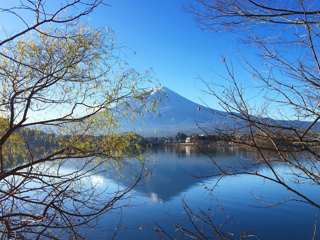 酒店IG帐号2020年底贴出的富士山风景照可见树枝。  IG@kumonoue_fujihotel