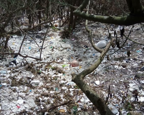 東龍島上多個海岸及近海營地均遍佈湧浪帶來的發泡膠碎屑及海洋垃圾。fb專頁「浪行山野 Hiking Wave」