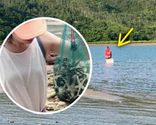 網民指有大媽在海星灣撈海星(小圖為早前內地女小紅書上教撈海星)。