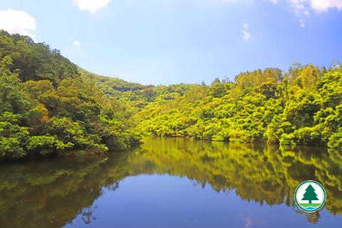 位于八仙岭郊野公园内的鹤薮水塘。（图片来源：渔农自然护理署）