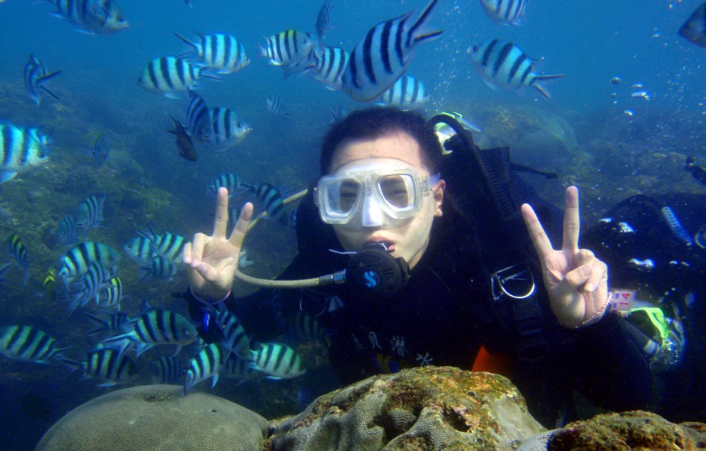 三亞是世界接待量最大潛水基地之一。 新華社