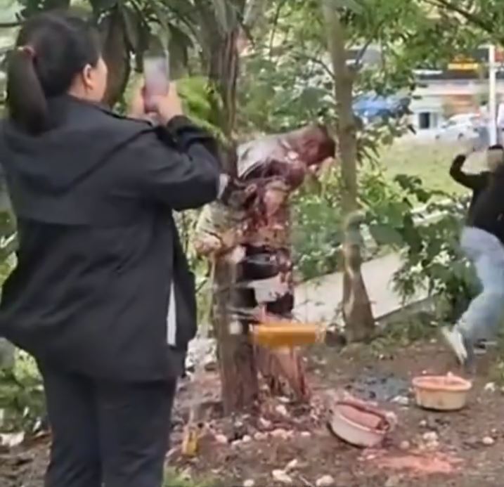 内地不时传出低俗甚至带有危险性的婚闹。