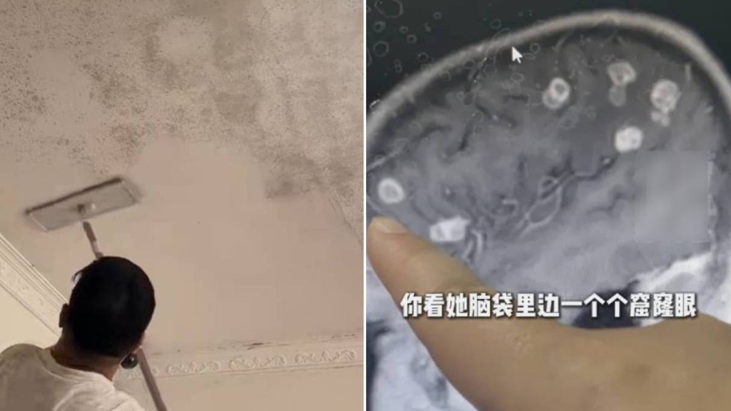 大掃除時要戴上口罩，避免吸入黴菌，危害健健。小紅書／小莉幫忙