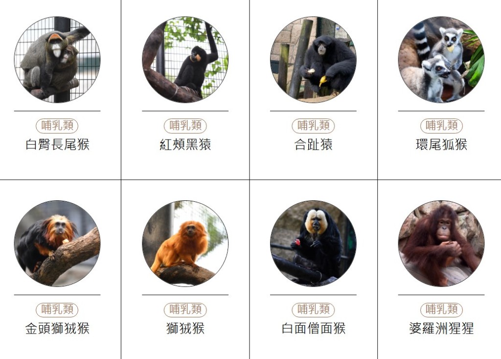 香港動植物公園動物圖鑑。「香港動植物公園」官方網站截圖 香港動植物公園動物圖鑑。「香港動植物公園」官方網站截圖