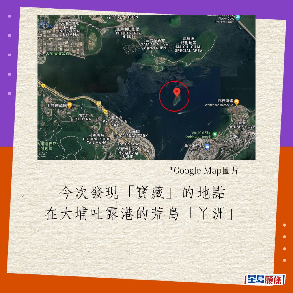 今次发现“宝藏”的地点在大埔吐露港的荒岛“丫洲”。