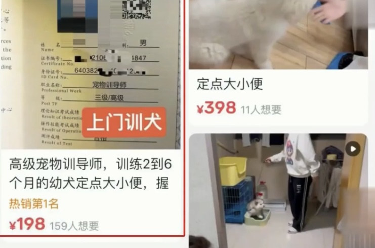 二手平台上的訓狗服務。荔枝新聞 二手平台上的訓狗服務。荔枝新聞