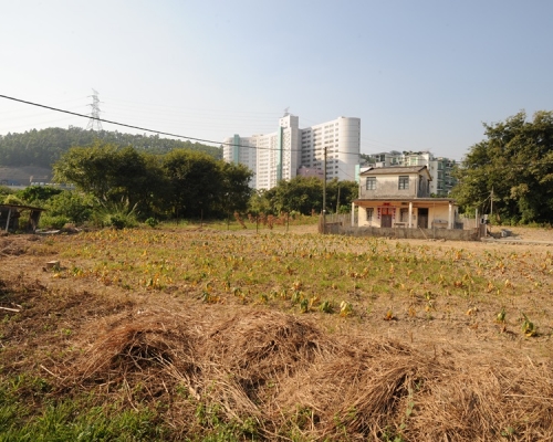 政府擬發展新界北地區,預料2032年約1000人遷入新田/落馬洲樞紐。資料圖片