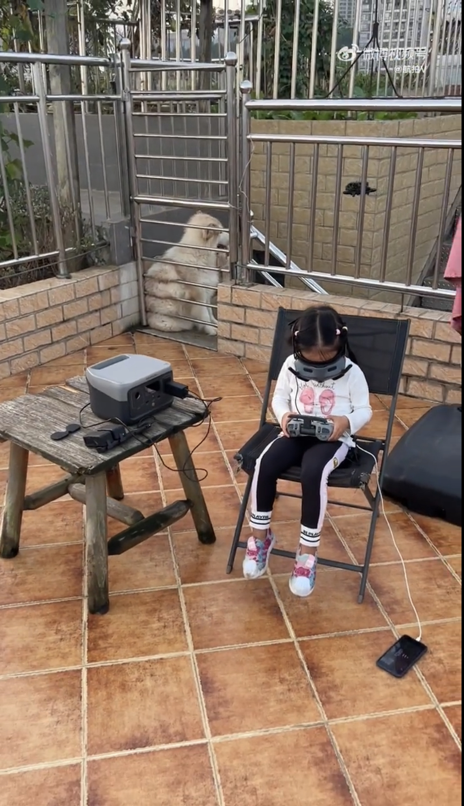萌萌在愛犬陪伴下練習無人機操作。