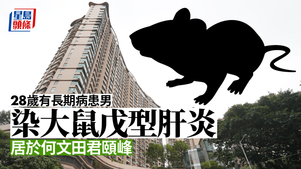 感染大鼠戊型肝炎的男子居於何文田君頤峰。資料圖片