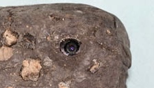 「岩石相機」附有直徑約1厘米的偷拍鏡頭。 山形縣警