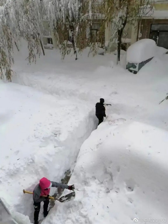 积雪最高超过60厘米。网图