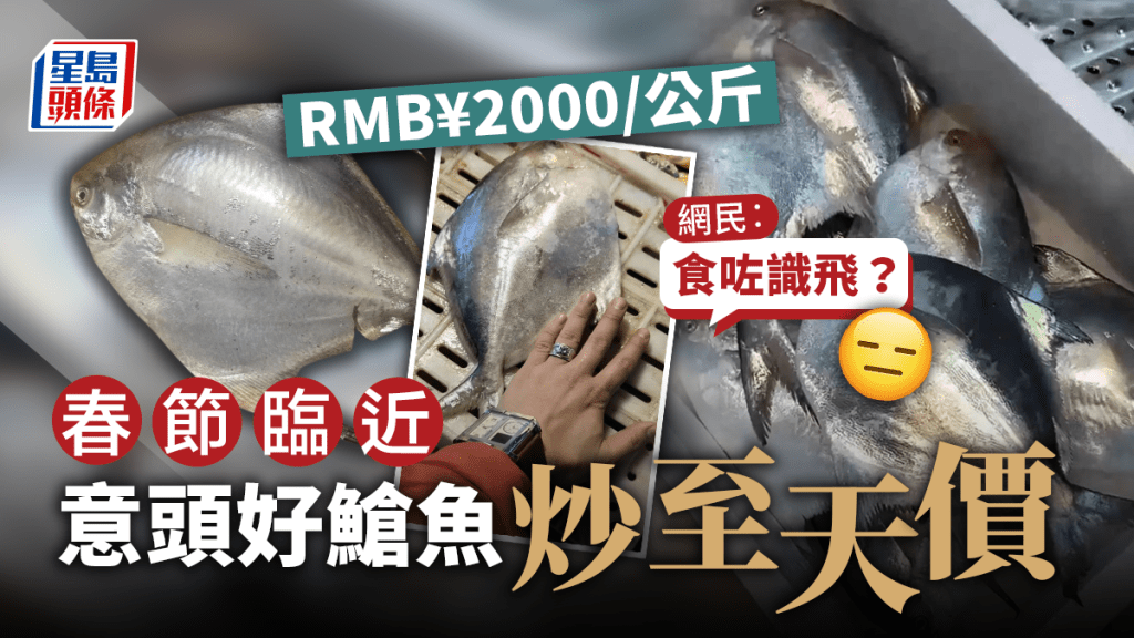 寧波全鱗大鯧魚價格已漲至人民幣2000元1公斤,刷新紀錄。網圖/ 星島製圖