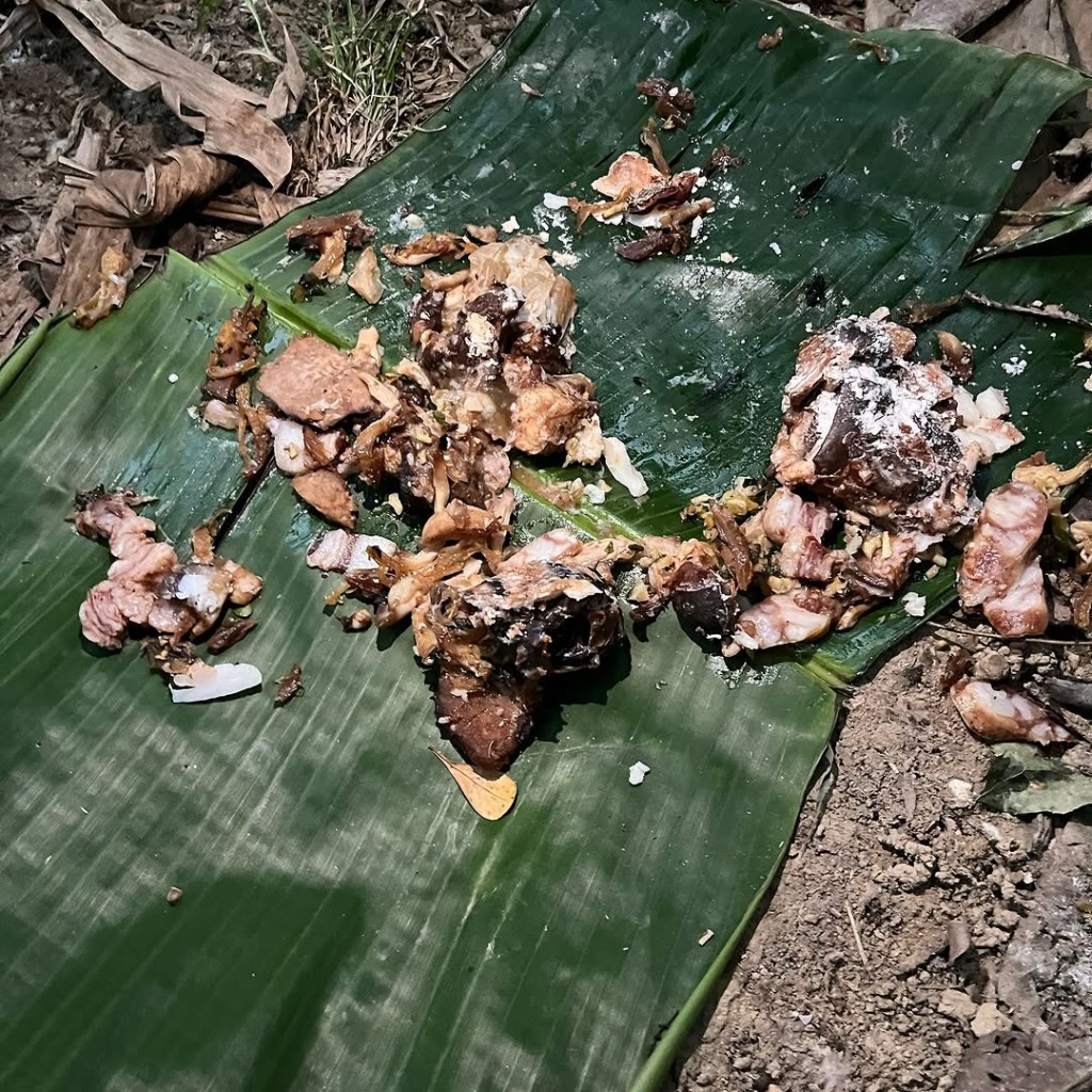 懷疑被落毒肉類的照片，可見肉類被放置在路邊樹葉上。謝嘉怡IG