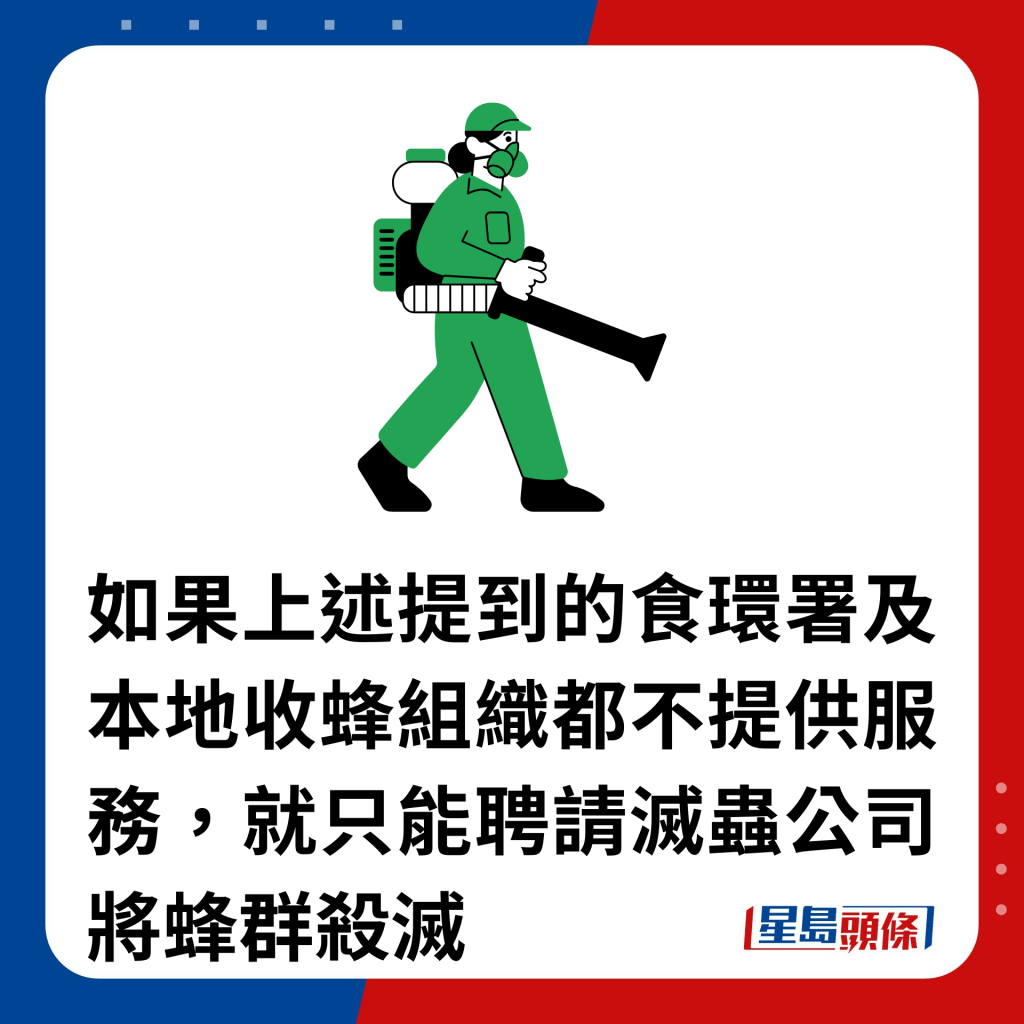 如果上述提到的食環署及本地收蜂組織都不提供服務，就只能聘請滅蟲公司將蜂群殺滅