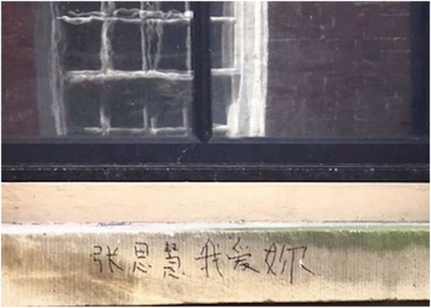 網圖