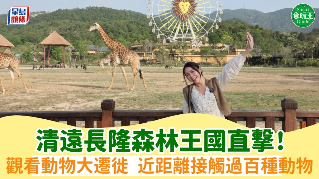 清遠長隆森林王國直撃!觀看動物大遷徙 近距離接觸過百種動物 投餵/復古蒸汽火車/壓軸巡遊即時睇!